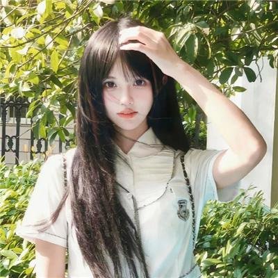 舞宫双凤