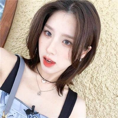 动物管制官第三季